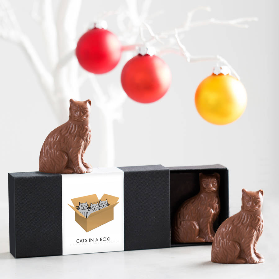 Chocolate Cats - In A Box!